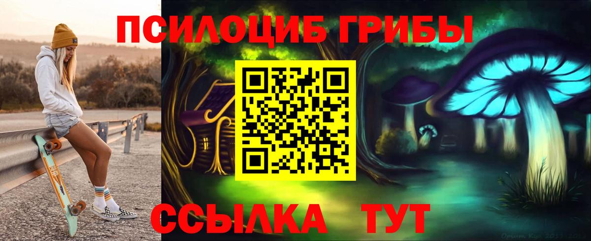 Электрогорск  Псилоцибиновые грибы Psilocybine cubensis  Вход с VPN 